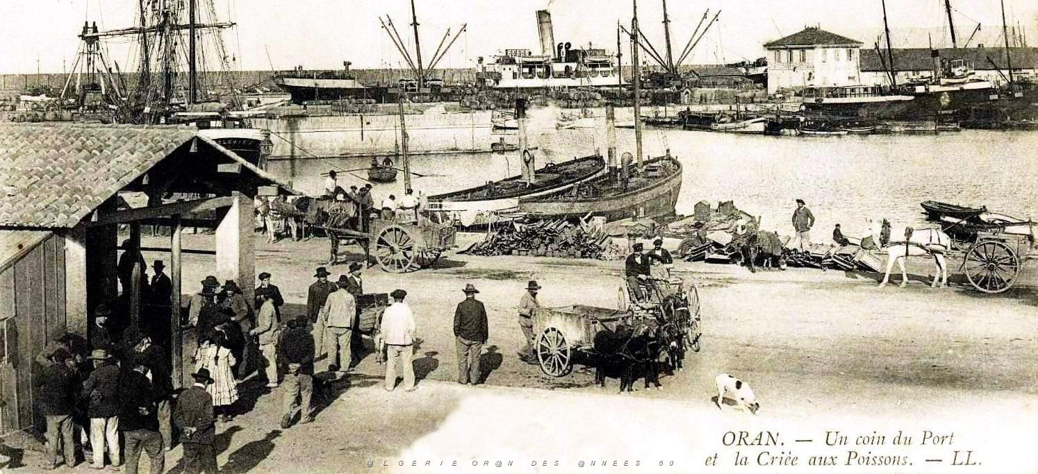 841- Oran - Criee aux poissons2.jpg